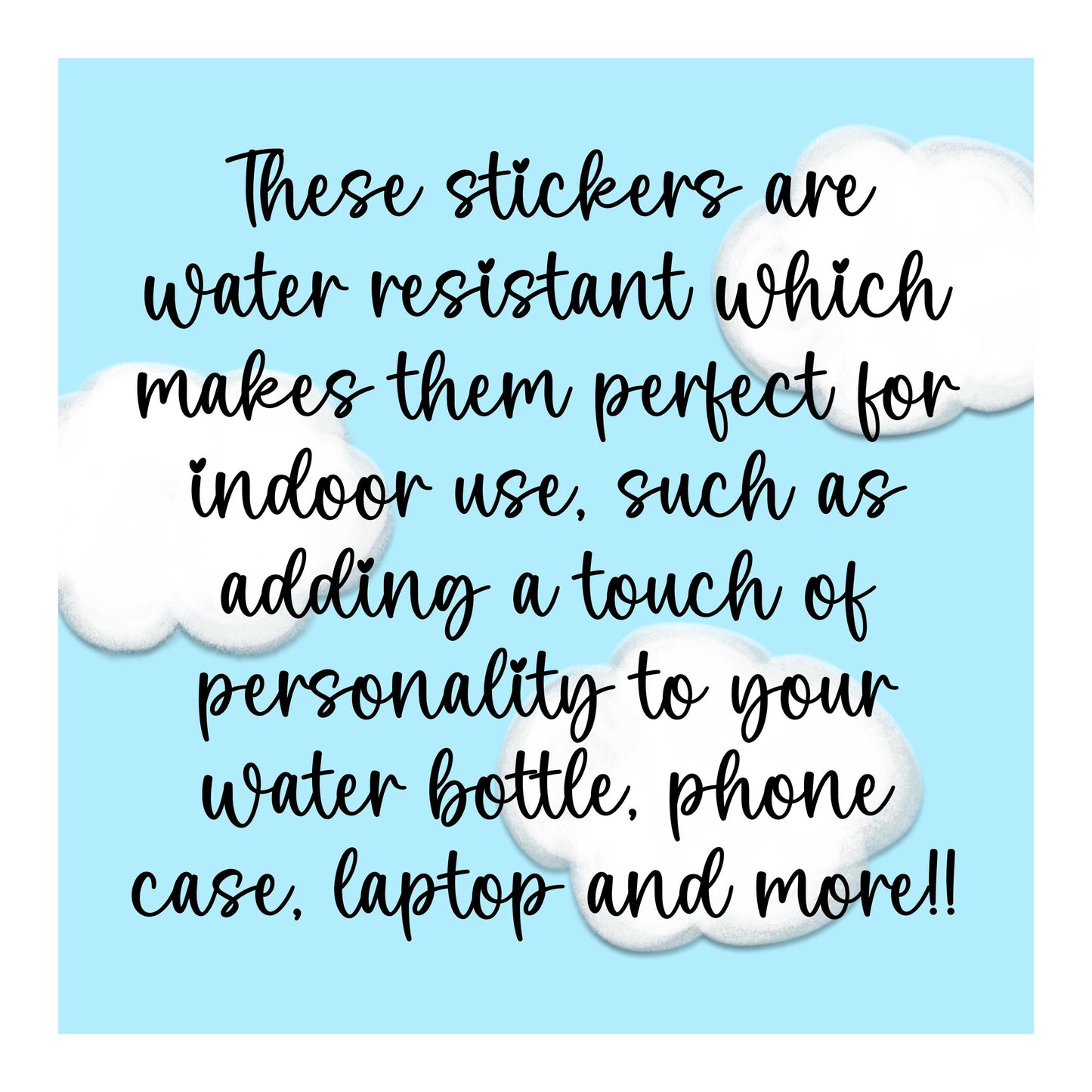 Passenger Princess Sticker, Pink Vinyl Sticker for Laptops, Journals, Water Bottles, Cute Aesthetic Funny Stickers, Girlfriend Gift for Her