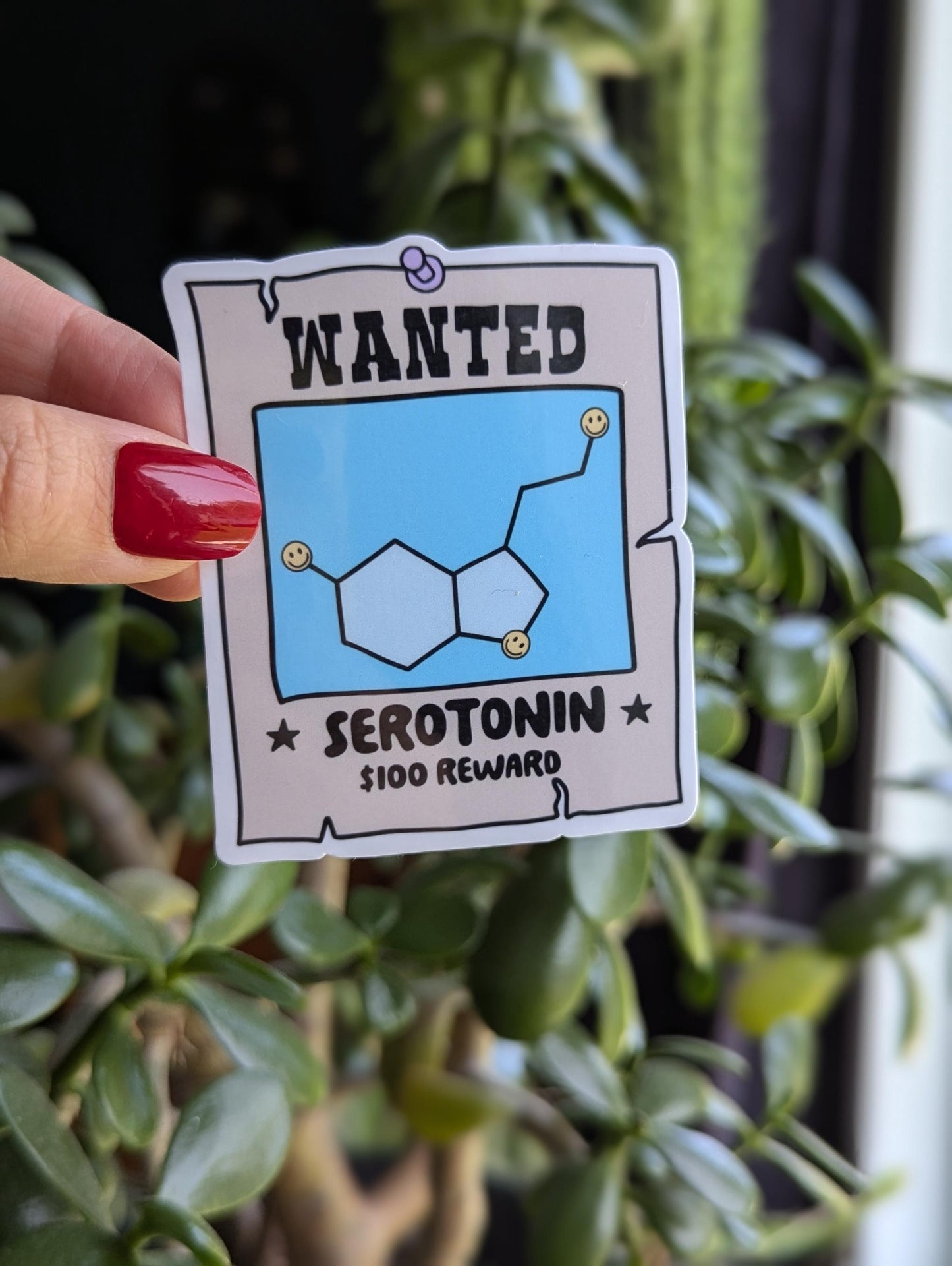 Serotonin wanted sticker, mental health stickers for water bottle, mental health awareness, funny gift for bestie, wanted poster sticker for